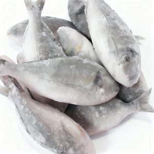 DOURADA