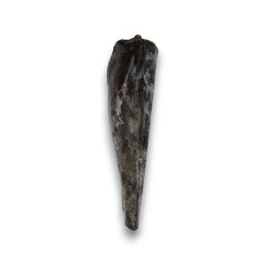 PESCADA INTEIRA ANZOL ÁFRICA SUL