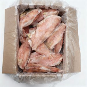 RED-FISH M/L