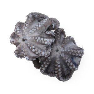 POLVO 0.8 /1.2KG FLOR